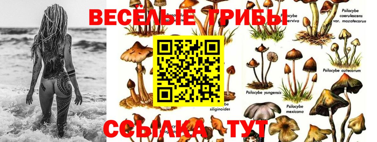 где купить наркоту  Псилоцибиновые грибы Cubensis  Вход с VPN  Псилоцибиновые грибы GOLDEN TEACHER  Нижний Новгород 